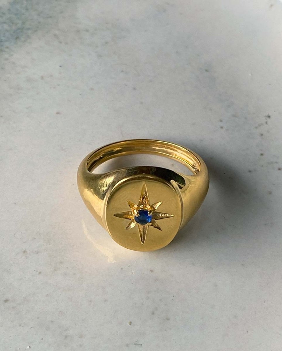 Midnight Star Signet RingRings14K Gold VermeilAngela Wozniak Jewellery