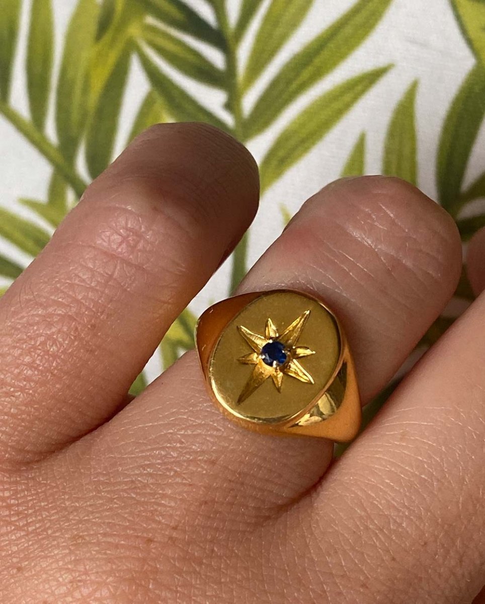 Midnight Star Signet RingRings14K Gold VermeilAngela Wozniak Jewellery